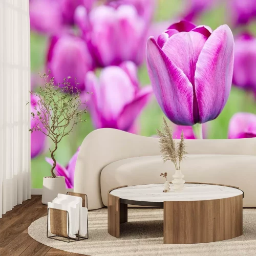 Sticker Lila Blumen auf einem grünen Hintergrund