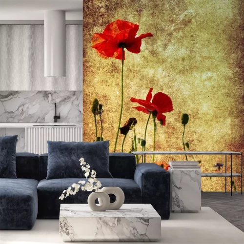 Fototapete Mohn auf einem gealterten Hintergrund
