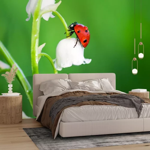 Sticker Marienkäfer auf einer weißen Maiglöckchenblüte