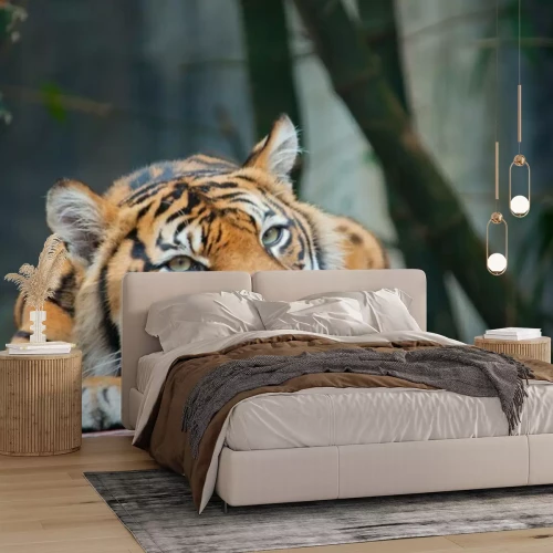 Sticker Tiger, der seinen Kopf auf seine Pfoten stützt und Bambusse