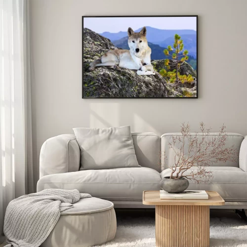 Visualisierung des Produkts