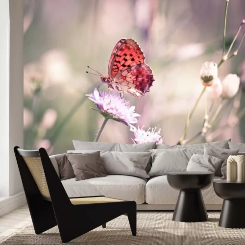 Fototapete Orangefarbener Schmetterling auf einer weißen Blume