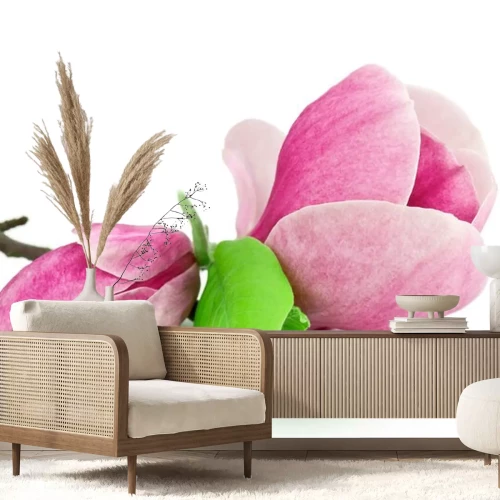 Sticker Foto einer Magnolie auf weißem Hintergrund