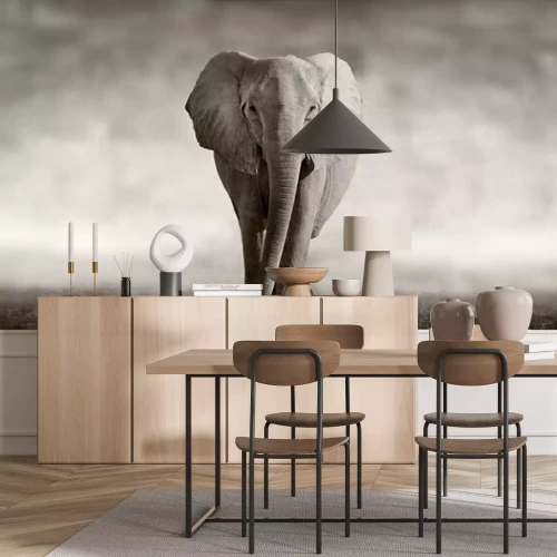 Fototapete Elefant auf verschwommenem Hintergrund