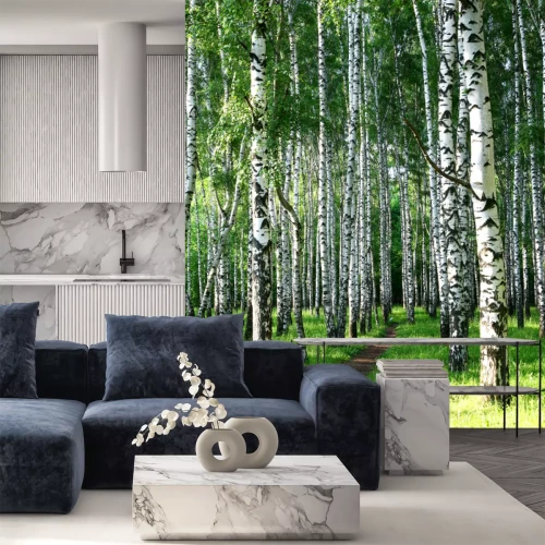 Fototapete Birken am sonnigen Mittag