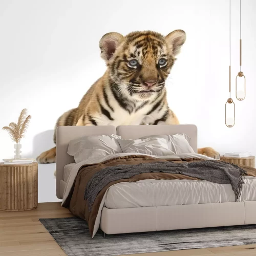 Sticker Tigerchen auf weißem hintergrund