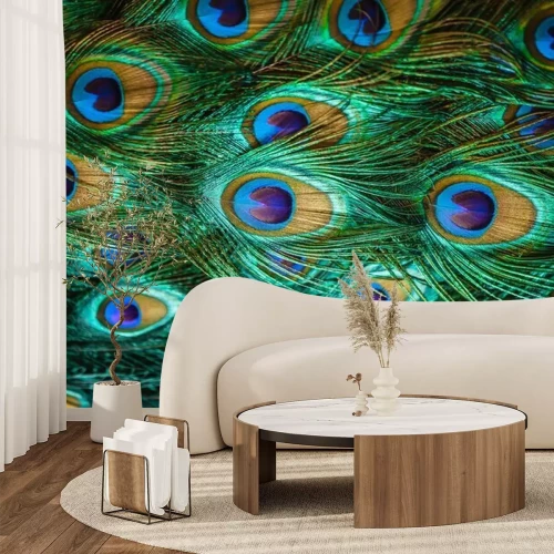 Fototapete Bunte Pfauenfedern