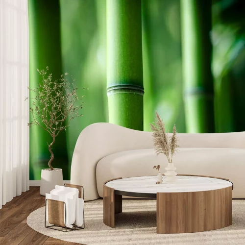 Fototapete Bambusstamm aus nächster Nähe