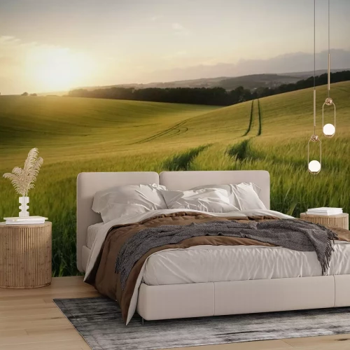 Fototapete Weites Weizenfeld bei Sonnenuntergang