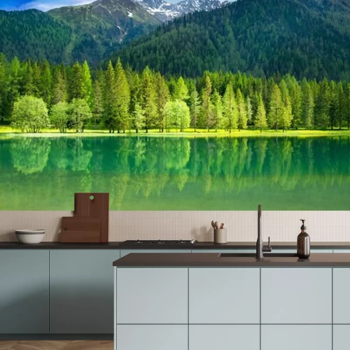 Fototapete Grüner Wald und Hügel