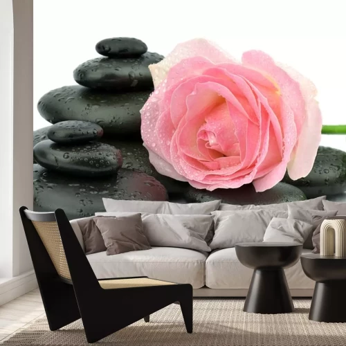 Sticker Róża na kamieniach tun spa