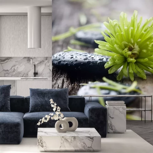 Sticker Steine ​​mit Wassertropfen