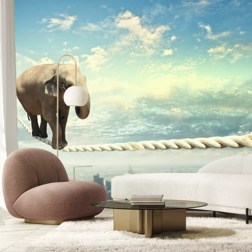 Fototapete Elefant auf einem Seil