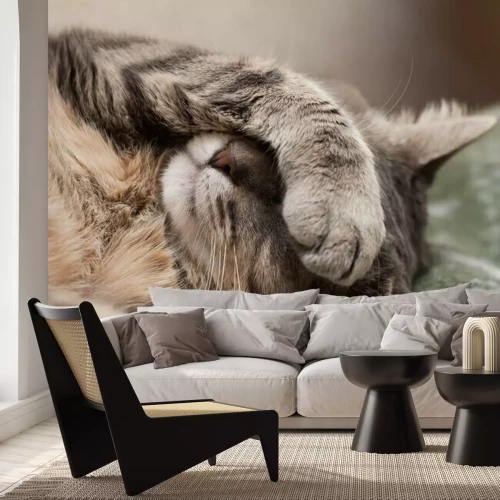 Sticker Schlafende Katze