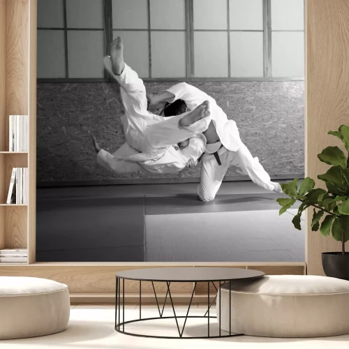 Fototapete Sport-Judo-Schau