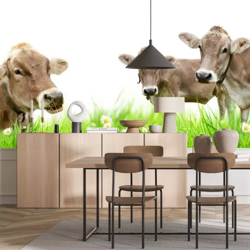 Sticker Tiere entspannte Kühe auf einer Lichtung