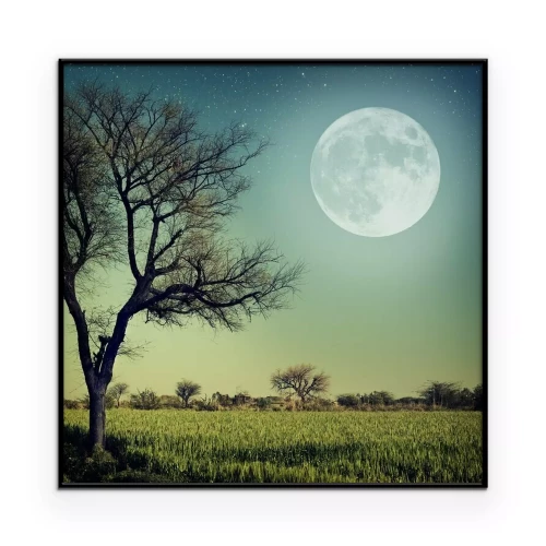 Poster Vollmond über der Wiese