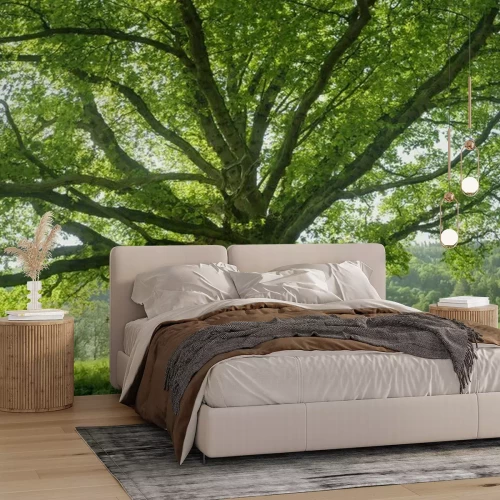 Fototapete Baum 3D Eiche