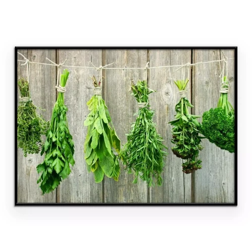 Poster Verschiedene Kräuter hängen zum Trocknen an einer Schnur.