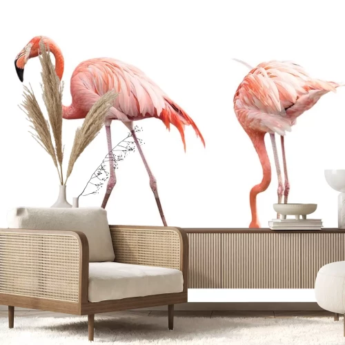 Sticker Zwei rosa Vögel auf weißem Hintergrund