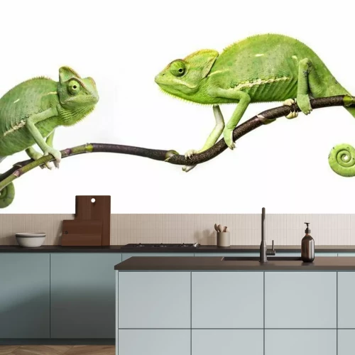 Sticker Chamäleons