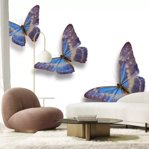 Sticker Drei sitzende Insekten