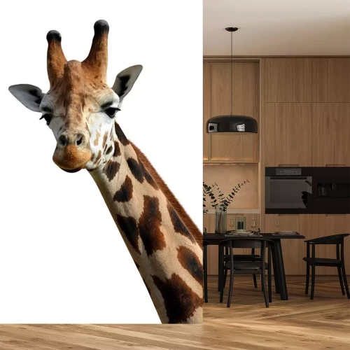 Sticker Giraffe aus nächster Nähe auf Fotografie