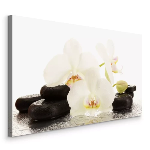 Bild Zen-Steine und weiße Orchideen