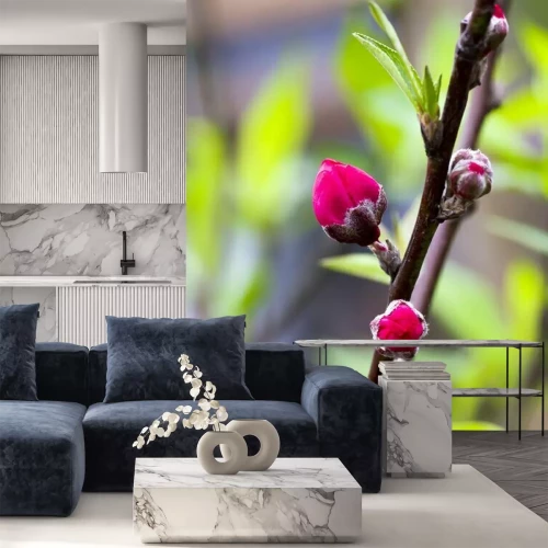 Fototapete Blühende Pfirsichblüten