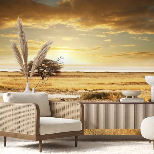 Fototapete Sonnenuntergang in der afrikanischen Savanne mit Zebras