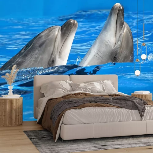 Sticker Zwei Delfine in einem Pool