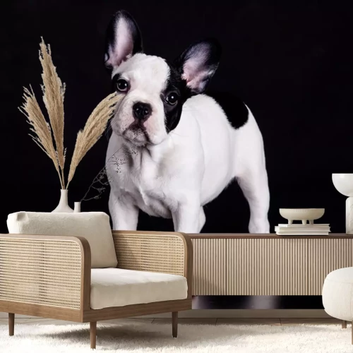 Sticker Tiere Hund und schwarz-weißer Spielball