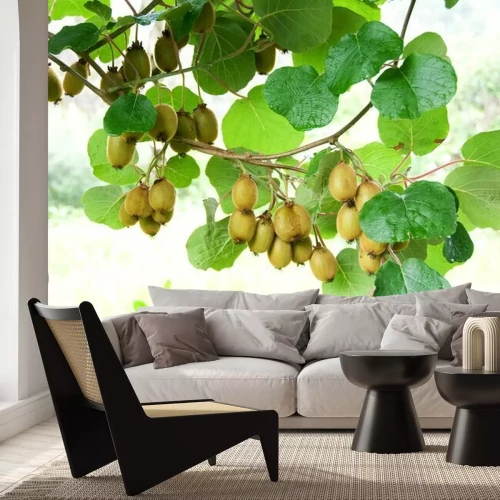 Sticker Baumzweig mit grünen Oliven