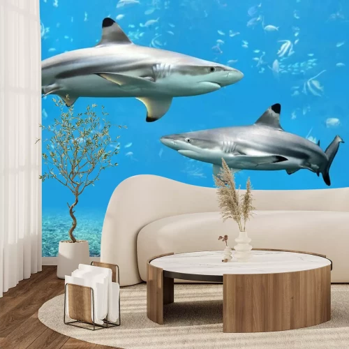 Fototapete Haie im Ozean