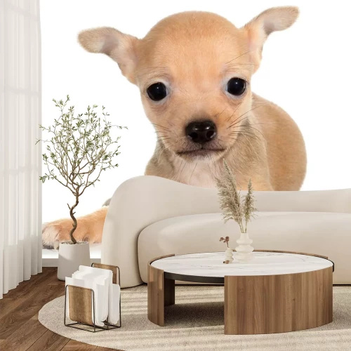 Sticker Kleiner brauner Hund