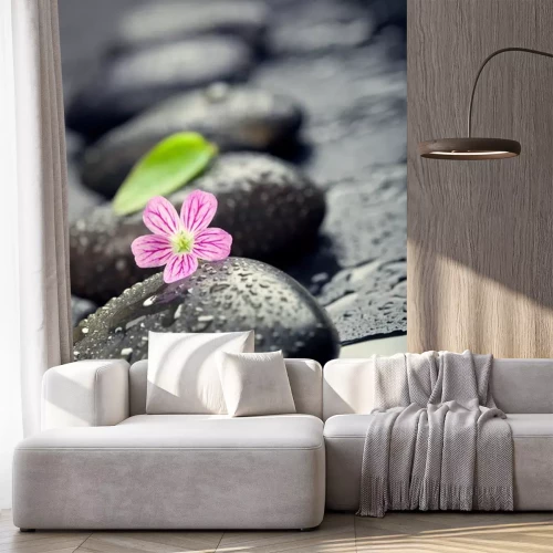 Sticker Rosa Blume und grünes Blatt auf Spa-Stein auf nassen schwarzen Oberfläche, cl