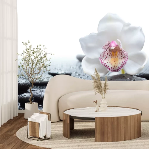 Sticker Weiße Orchidee und schwarze Steine mit Wasser