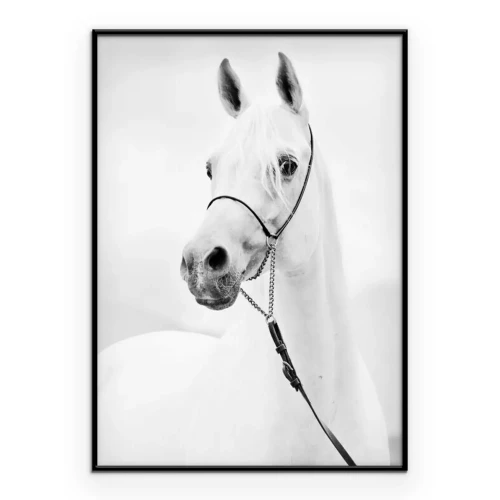 Poster Büste eines Vollblutpferdes