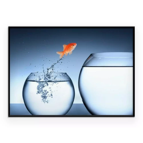 Poster Goldfisch-Wechsel-Aquarium