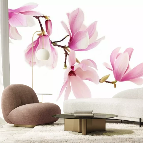 Sticker Rosa Magnolienblüten auf einem Ast
