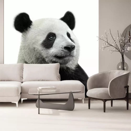 Sticker Panda-Bär auf weißem Hintergrund isoliert