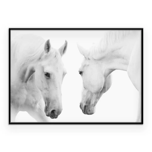 Poster Zwei Pferde, die sich gegenseitig in die Augen starren