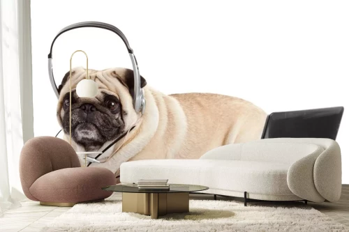 Visualisierung des Produkts