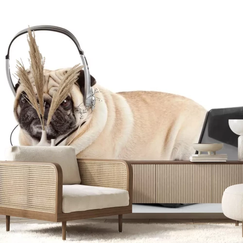 Sticker Haustiere Mopps mit Kopfhörern vor einem Laptop