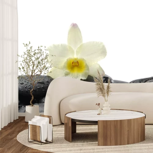 Sticker schwarzen Steine ​​und Orchidee mit Reflexion