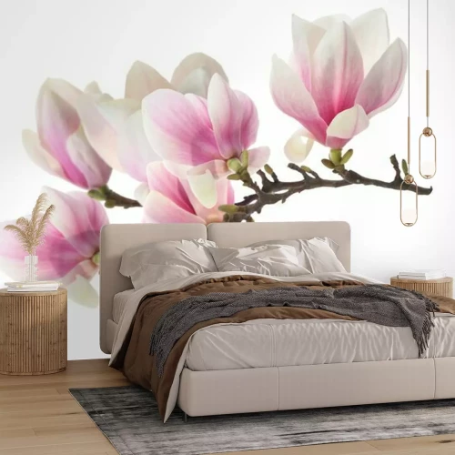 Sticker Magnolie