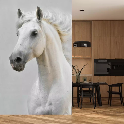 Fototapete Laufender araber