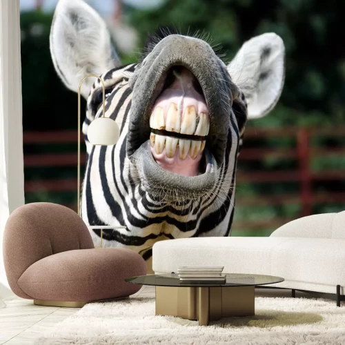 Sticker Nahaufnahme eines lächelnden Zebras