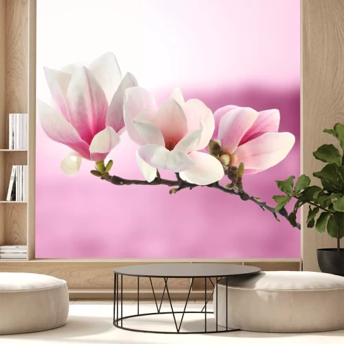 Sticker Magnolienzweig auf rosa Hintergrund