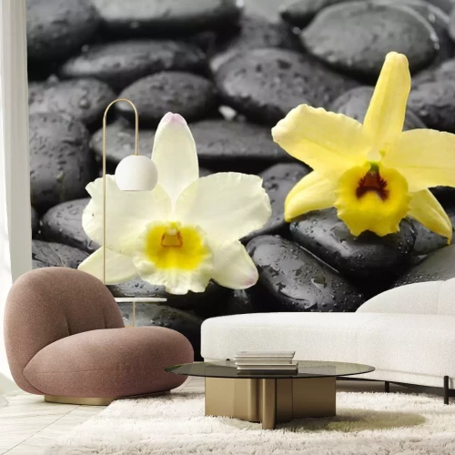 Sticker schwarzen Steine ​​und rosa Orchidee